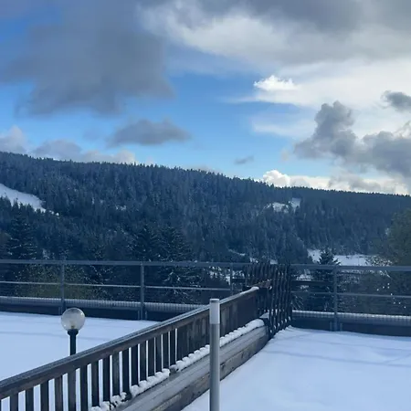 Appartement Sur Les Hauteurs De Gerardmer Exterior photo