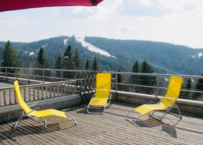 Appartement Sur Les Hauteurs De Gerardmer