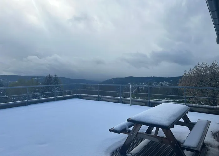 Appartement Sur Les Hauteurs De Gerardmer